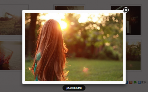 为Wordpress加入Fancybox相册功能免插件实现