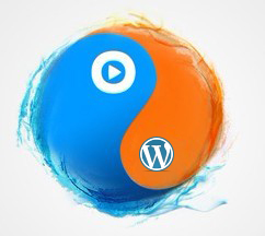 利用WordPress短代码插入无广告的优酷视频