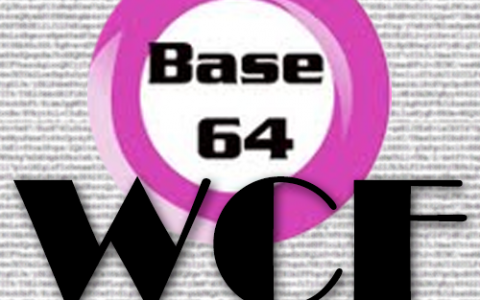 WCF中通过序列化传输内容来提高安全性以及访问速度