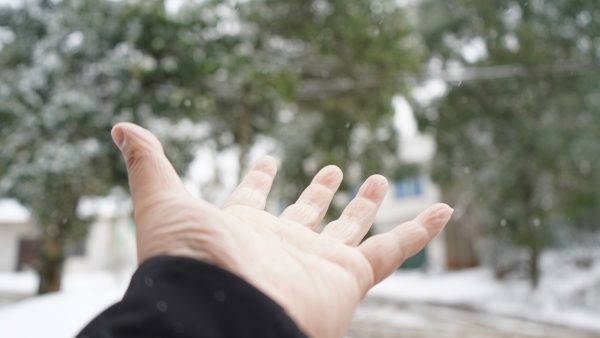 记录2021年的最后一场雪